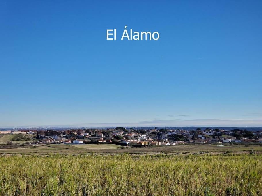 Primera Planta Completa, El Álamo 외부 사진